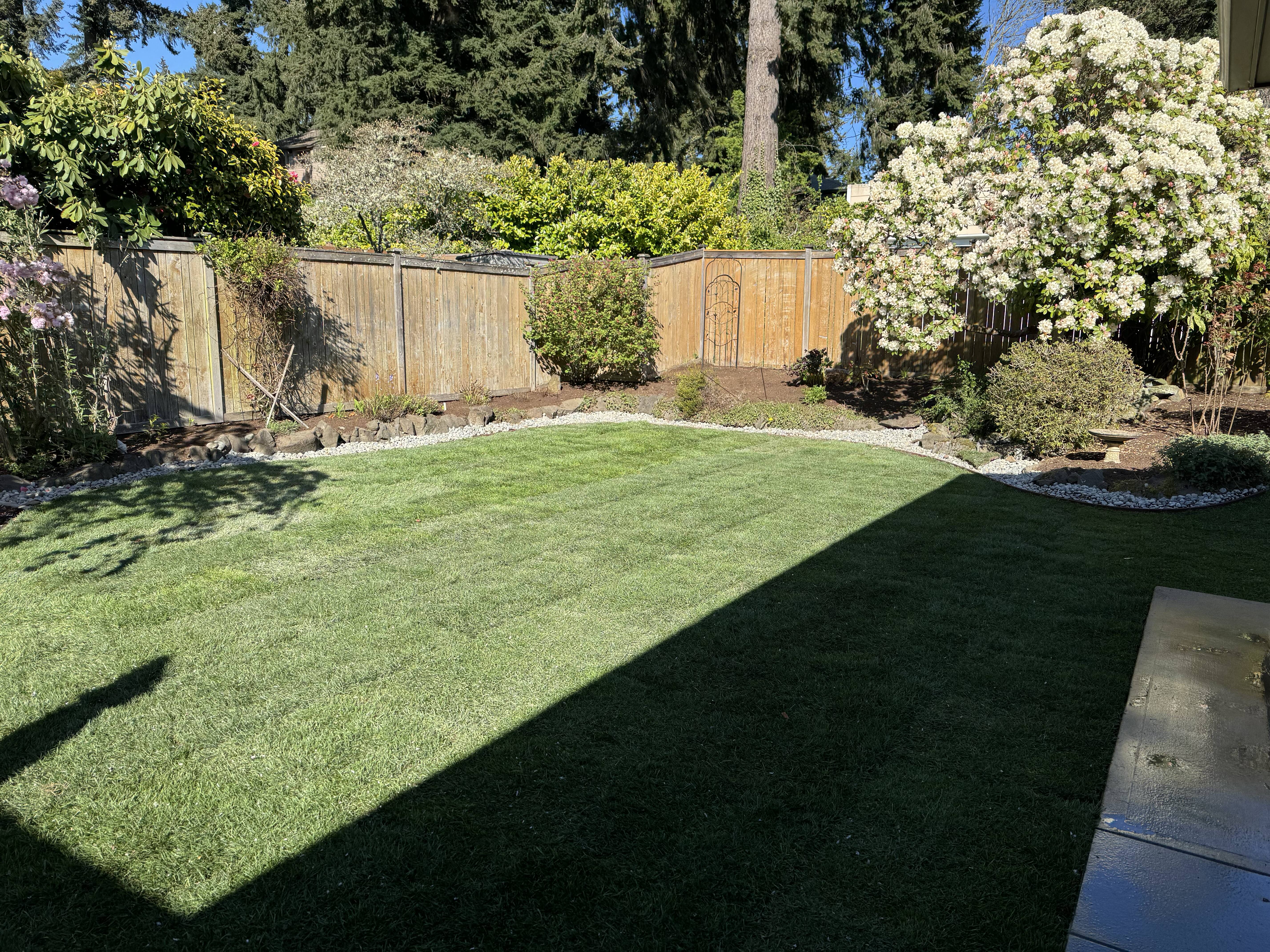 3_New_sod-_yard_cleaning_