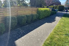 1_edging-mowing