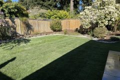 3_New_sod-_yard_cleaning_-rotated