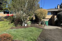4_tree_care_and_general_cleaning-rotated